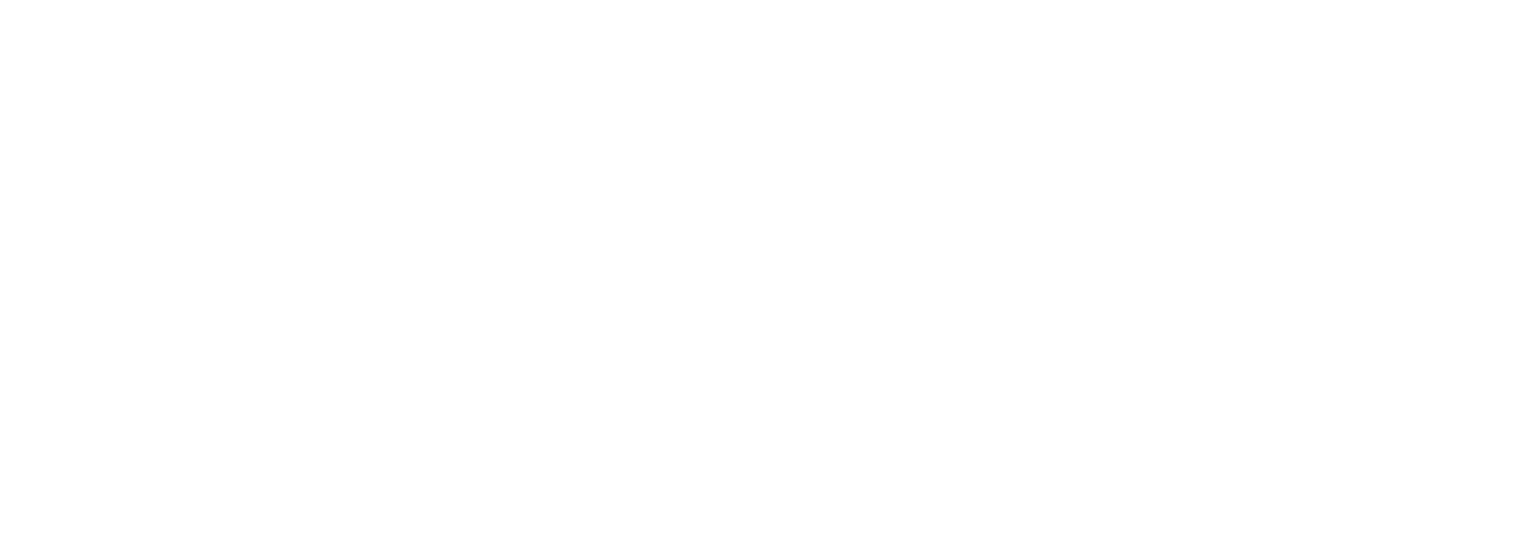 İkinci Emeklilik Footer Logo
